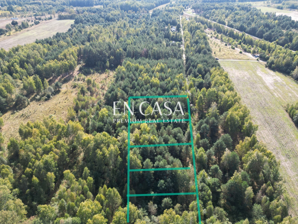 Plot Sale Kuklówka Radziejowicka Zalana Łąka 9